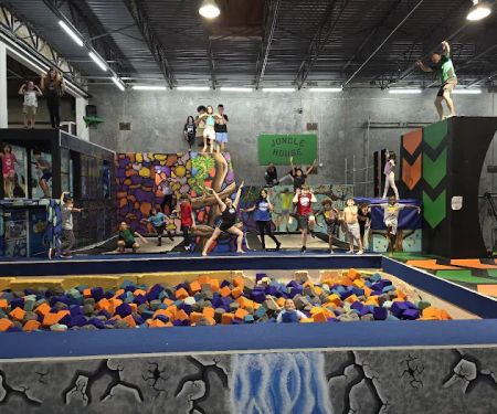 The Jungle Movement Academy