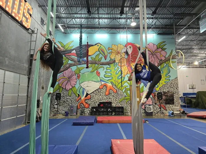 The Jungle Movement Academy Picture 4
