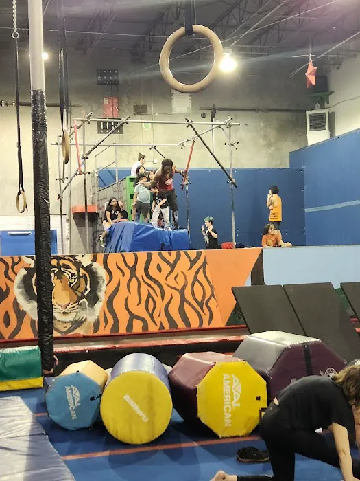 The Jungle Movement Academy Picture 7