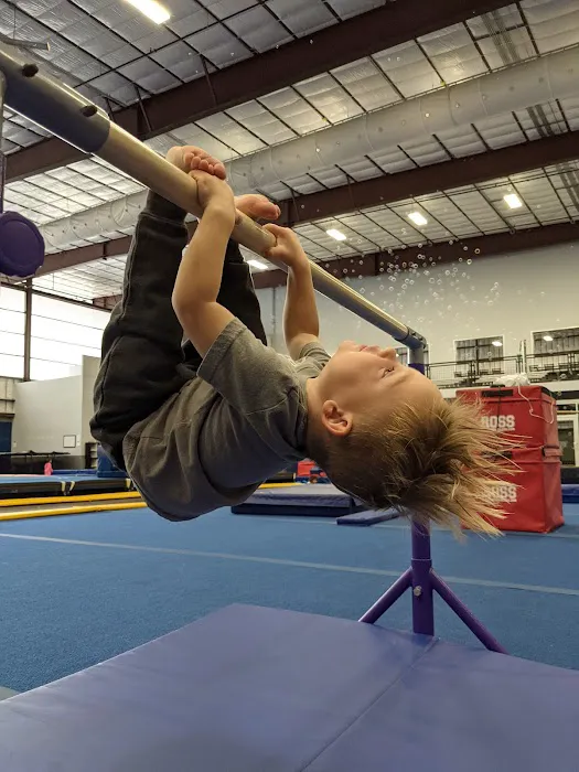Tumble Tech Picture 9