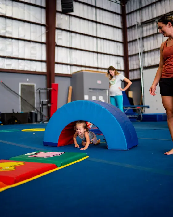 Tumble Tech Picture 7