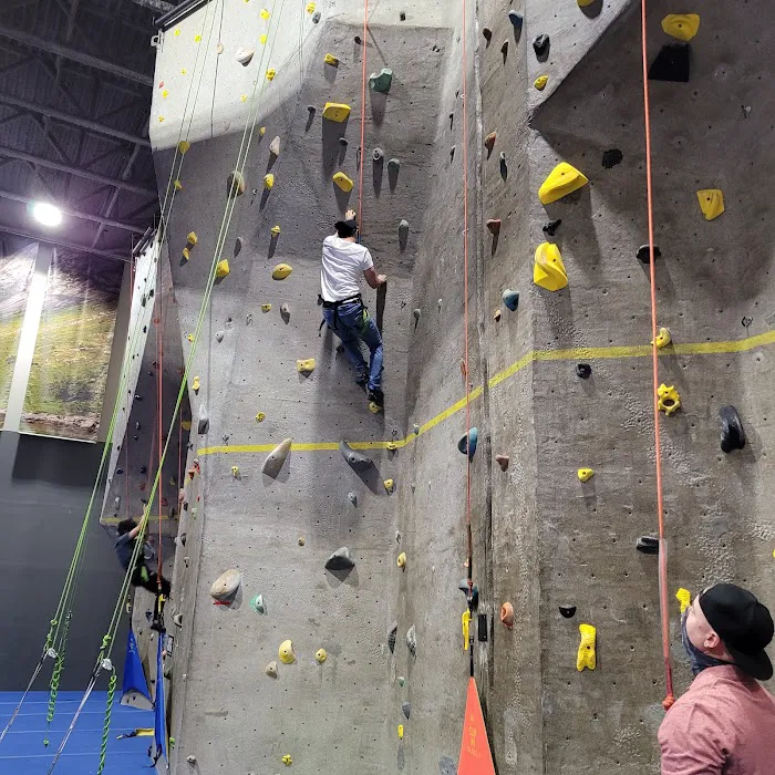Main Event Austin Picture 3