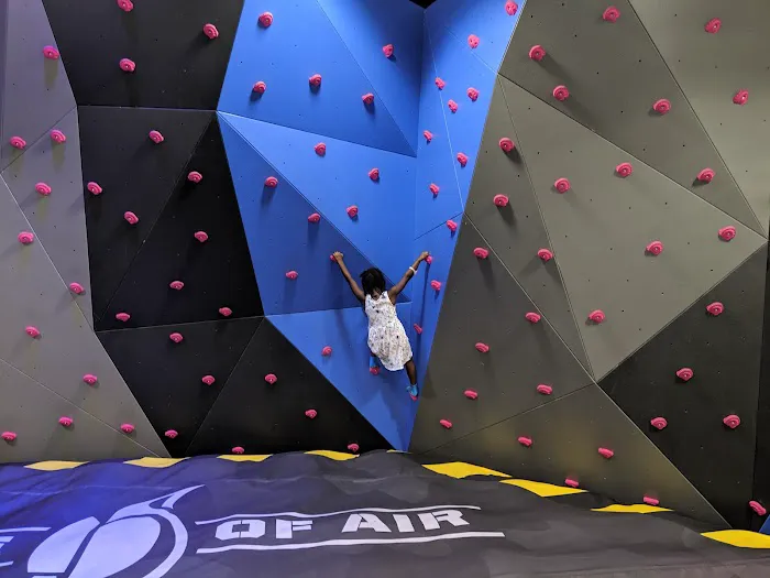 Airtopia Adventure Park - San Antonio Picture 6