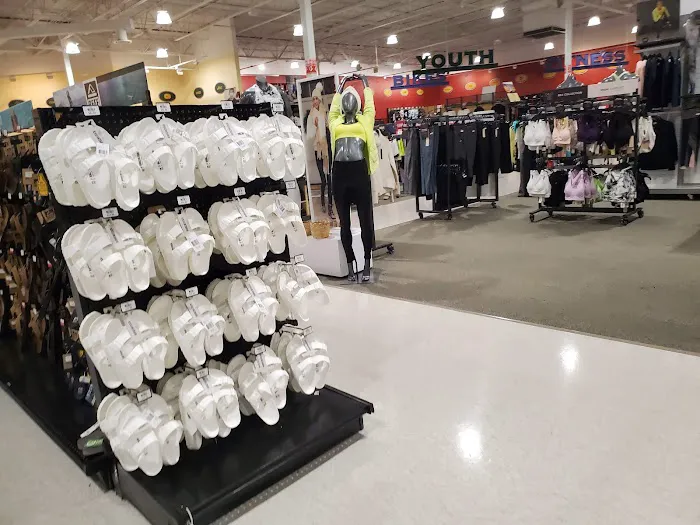 DICK'S Sporting Goods Picture 4