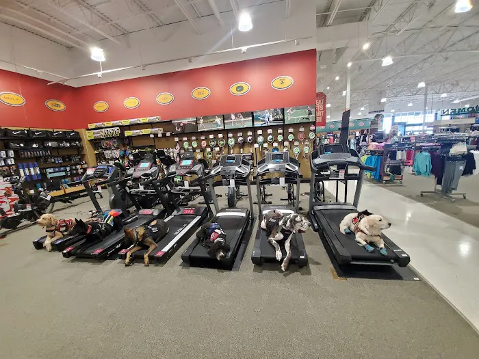 DICK'S Sporting Goods Picture 5