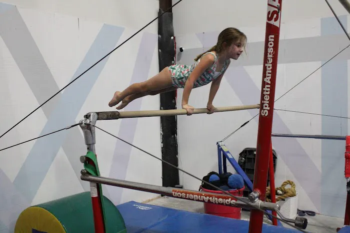 Austin Elite Gymnastics & Ninja Warrior Picture 3