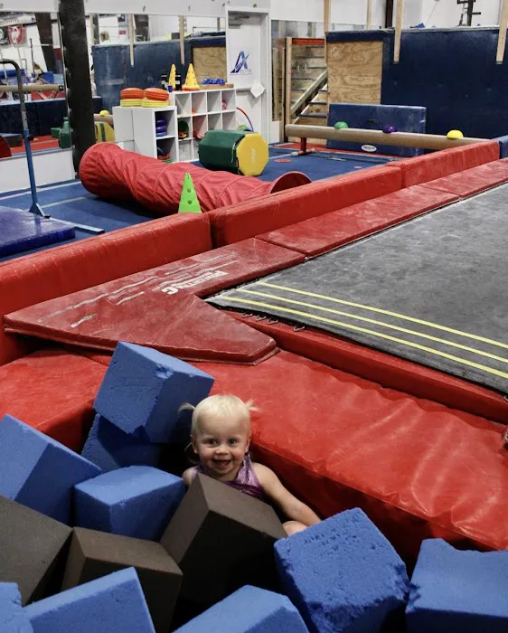 Austin Elite Gymnastics & Ninja Warrior Picture 4