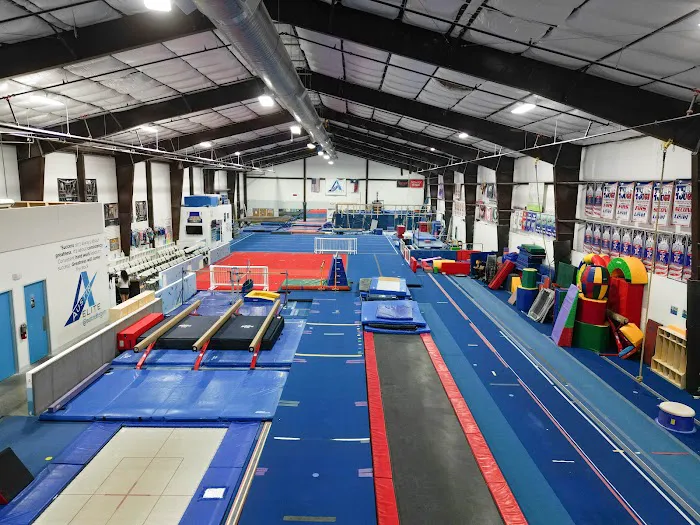 Austin Elite Gymnastics & Ninja Warrior Picture 2