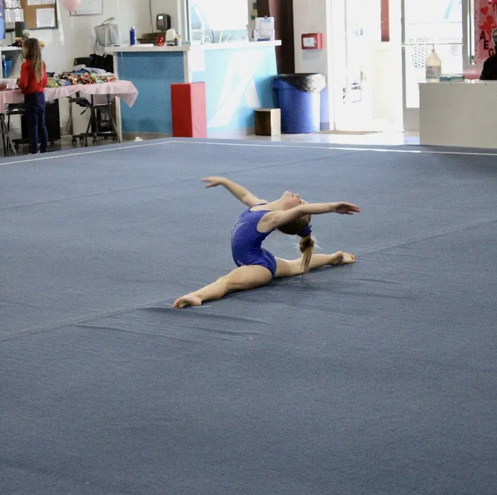 Austin Elite Gymnastics & Ninja Warrior Picture 5