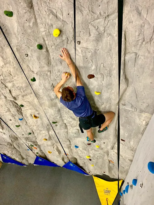 Altitude Trampoline Park Picture 5