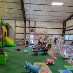 Jungle Jam Party and Play