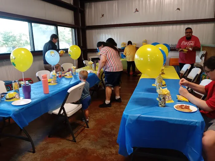 Jungle Jam Party and Play Picture 3