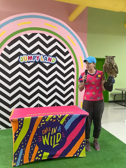JUMPY LAND Picture 7