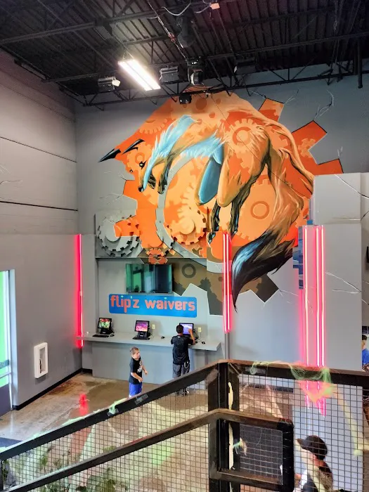 Flip'z Trampoline & Family Fun Park Picture 8