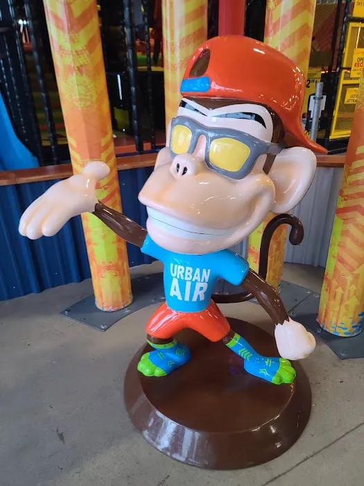 Urban Air Trampoline and Adventure Park Picture 9