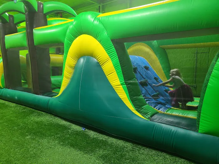 I-Guana Jump Bounce House Picture 5