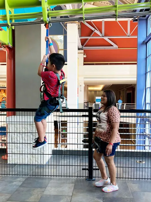 LiggettVille Adventure Center - San Antonio Picture 7