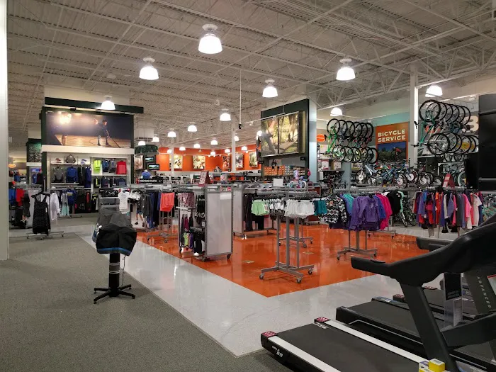 DICK'S Sporting Goods Picture 9