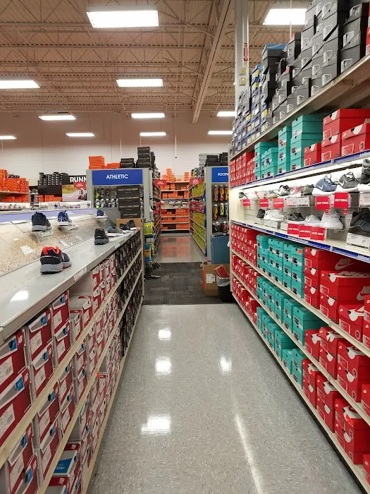 Academy Sports + Outdoors Picture 8