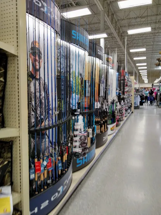 Academy Sports + Outdoors Picture 7