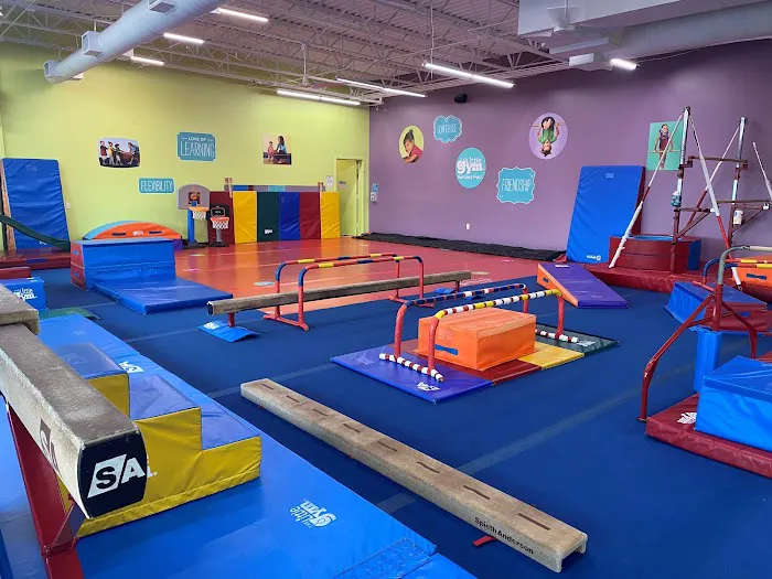 The Little Gym of Austin South Picture 2
