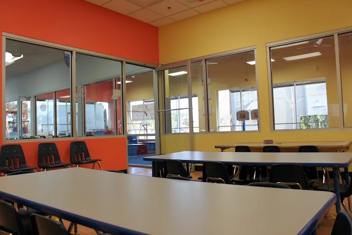 The Little Gym of Austin South Picture 4