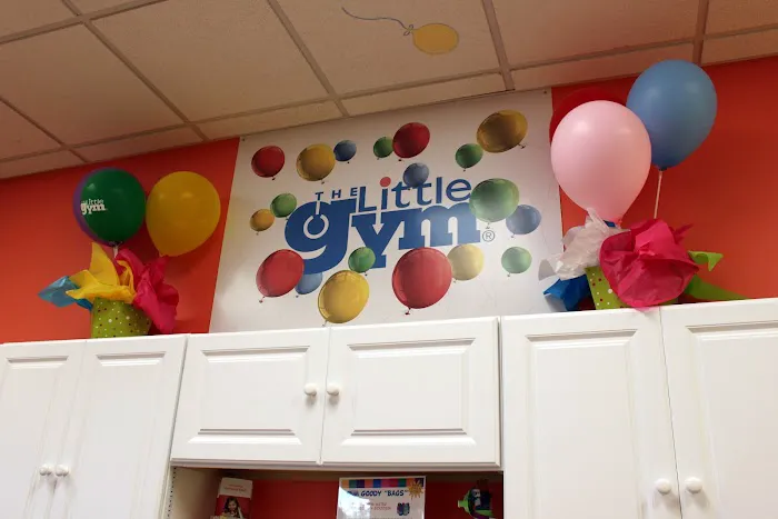 The Little Gym of Austin South Picture 9