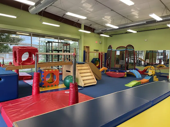 My Gym Children's Fitness Center Picture 1