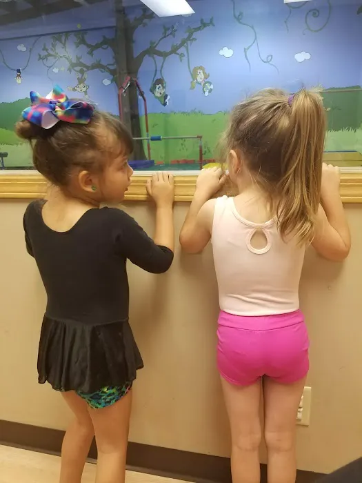 Gymnastic Academy North Picture 2