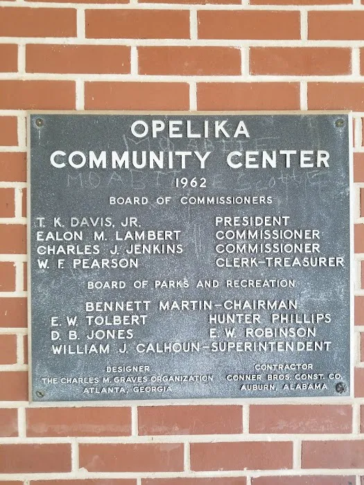 Opelika Parks and Rec. Trampoline and Power Tumbling Picture 6