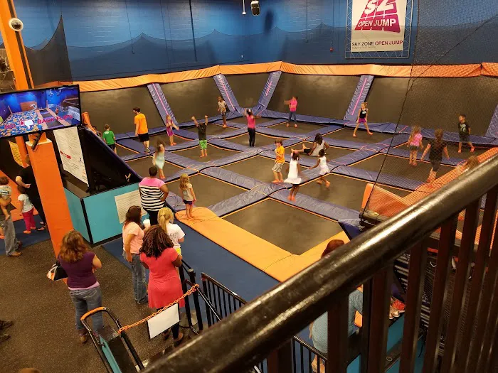 Sky Zone Trampoline Park Picture 8