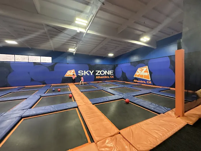 Sky Zone Trampoline Park Picture 3