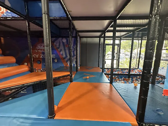 Sky Zone Trampoline Park Picture 7