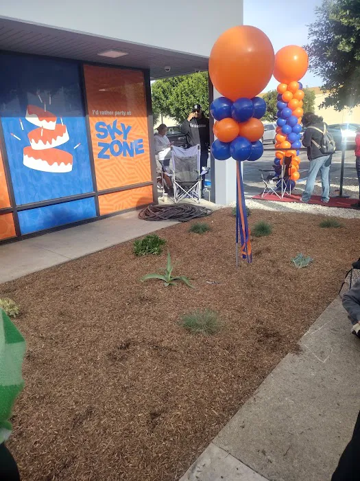 Sky Zone Trampoline Park Picture 10