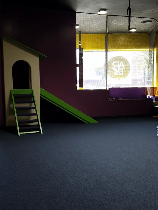 APEX for Kids: Active Play Experience for Kids Picture 9