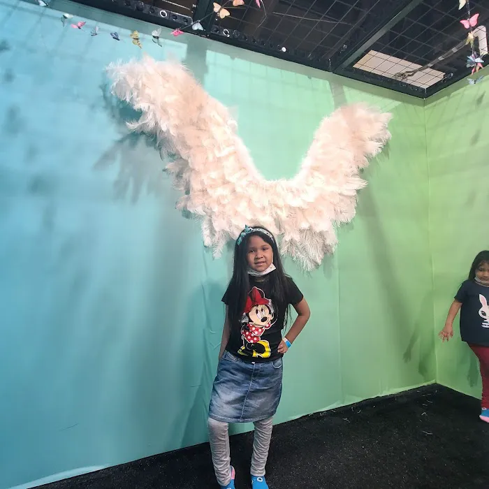 FUNBOX LOS ANGELES - ARCADIA Picture 4