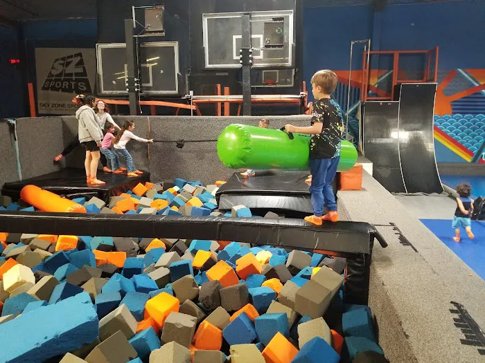 Sky Zone Trampoline Park Picture 1