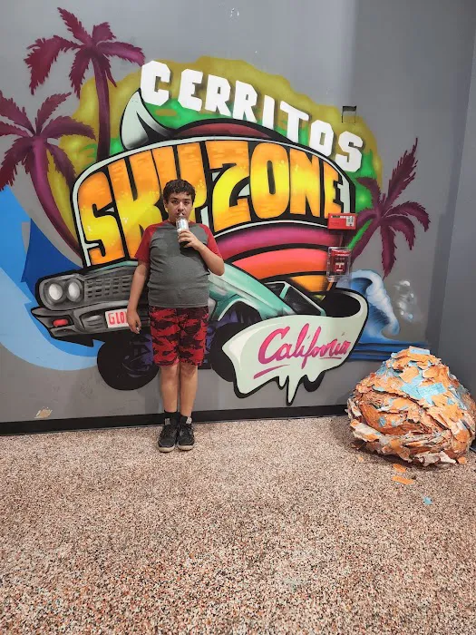 Sky Zone Trampoline Park Picture 8