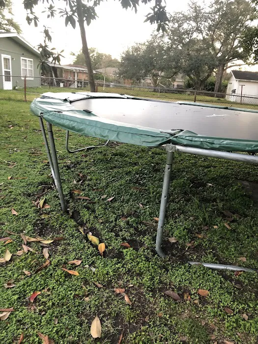 Trampoline Jumpers Picture 5