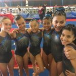 Flight School Gymnastics