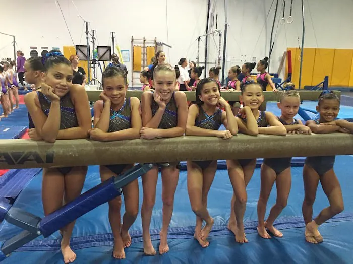 Flight School Gymnastics Picture 10