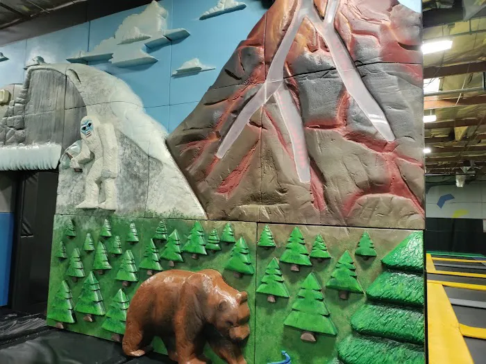 Get Air Trampoline Park Picture 4