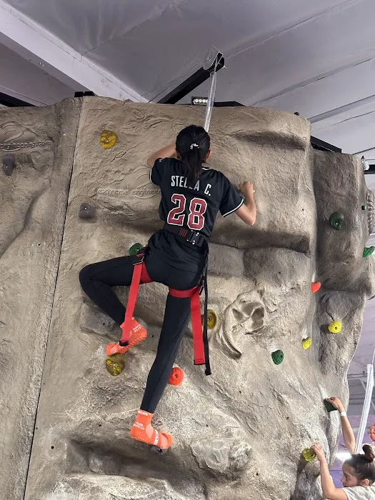 Sky Zone Trampoline Park Picture 5