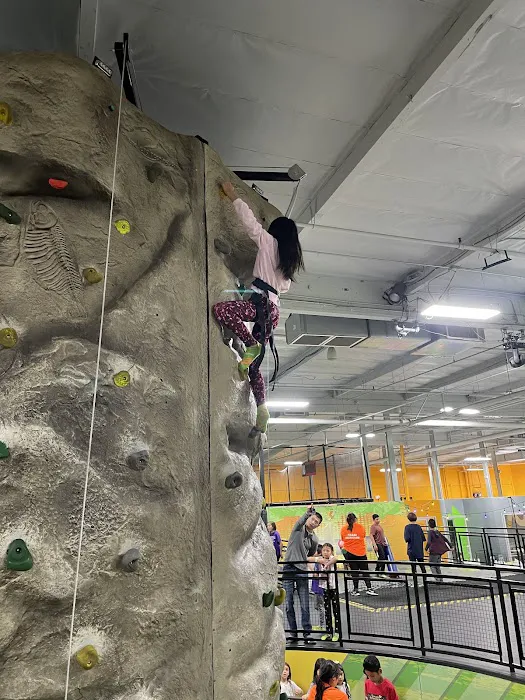 Sky Zone Trampoline Park Picture 8