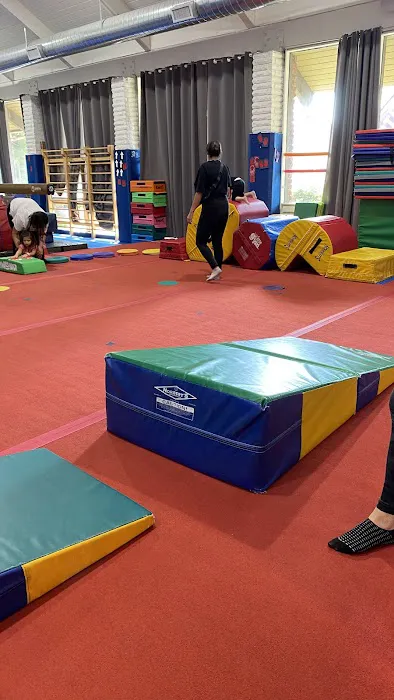 Jump Gymnastics Picture 5