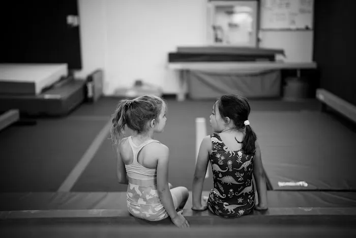 Jump Gym Picture 2