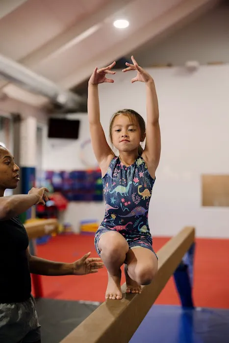 Jump Gym Picture 3