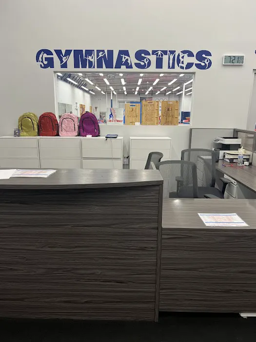 Jump Gym Picture 4