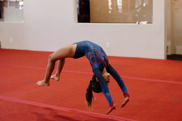 Jump Gym Picture 9