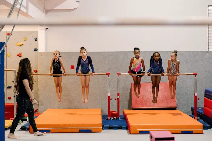 Jump Gym Picture 8